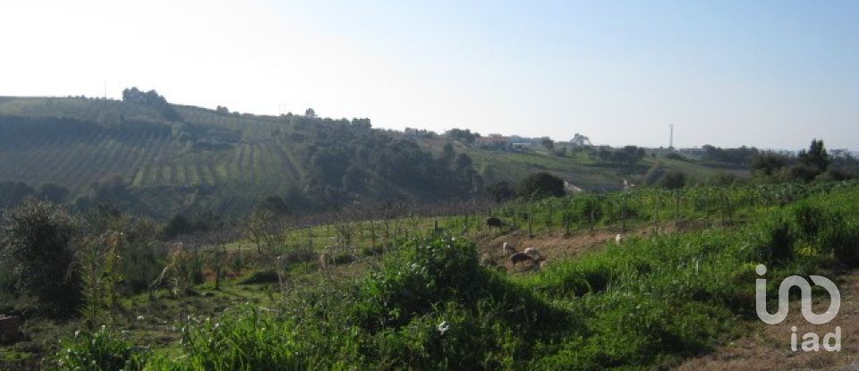 Terrain à Santa Maria, São Pedro e Sobral da Lagoa de 847 m²