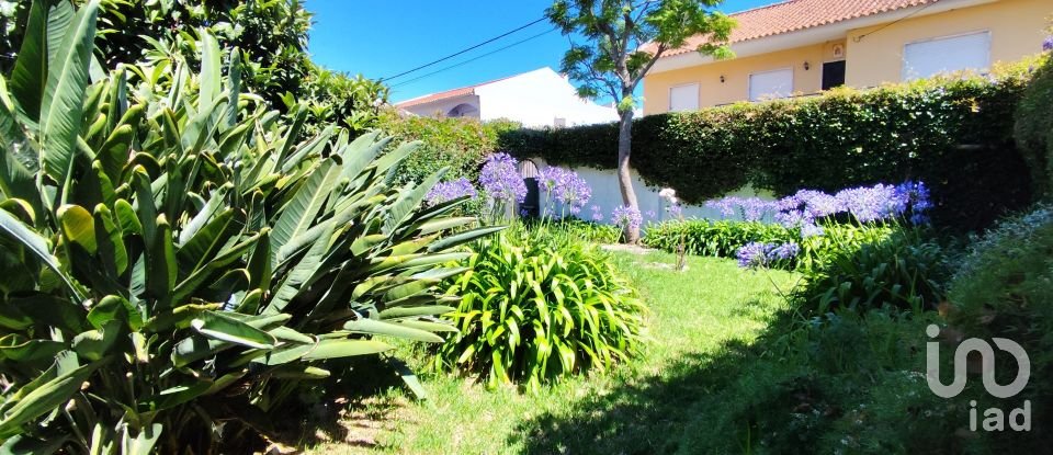 House T4 in Bombarral e Vale Covo of 340 m²