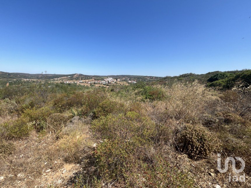 Terreno em Barão de São Miguel de 11 040 m²