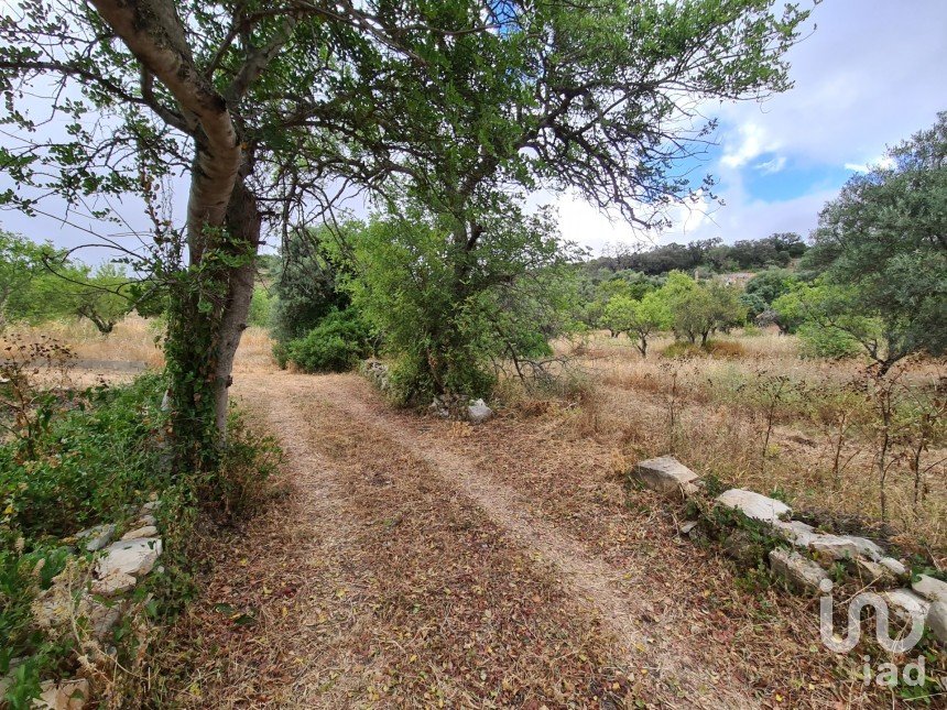 Terreno para construção em Loulé (São Clemente) de 2 360 m²