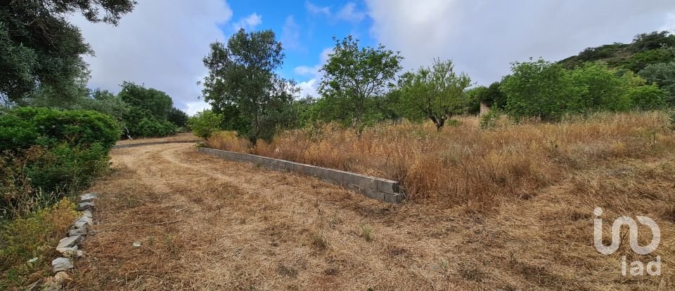 Terreno para construção em Loulé (São Clemente) de 2 360 m²