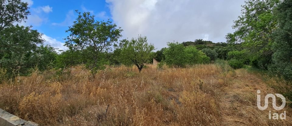 Terreno para construção em Loulé (São Clemente) de 2 360 m²