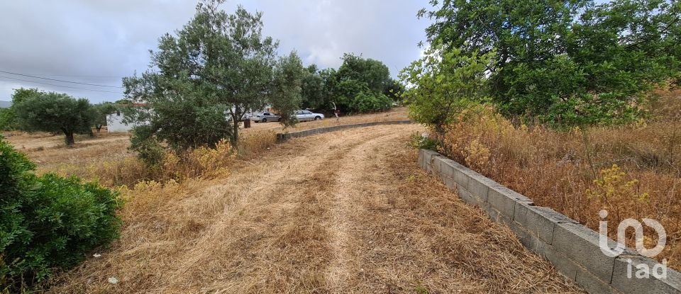 Terreno para construção em Loulé (São Clemente) de 2 360 m²