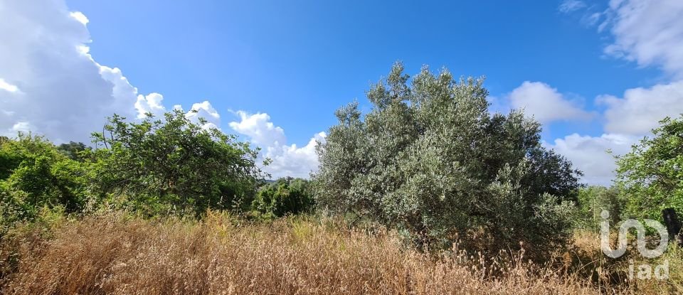 Terreno para construção em Loulé (São Clemente) de 2 360 m²