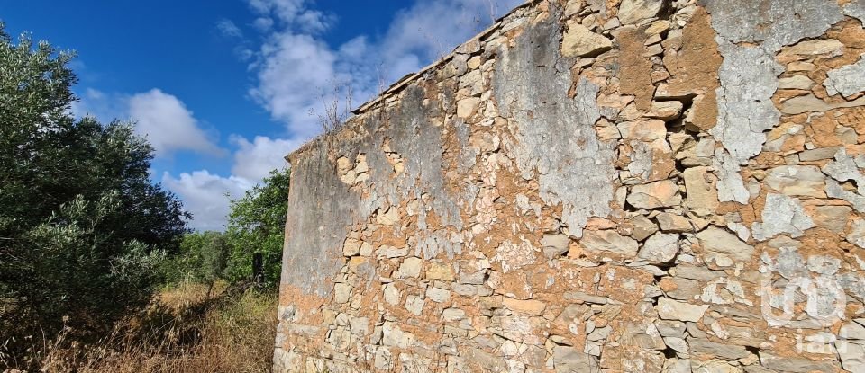 Terreno para construção em Loulé (São Clemente) de 2 360 m²