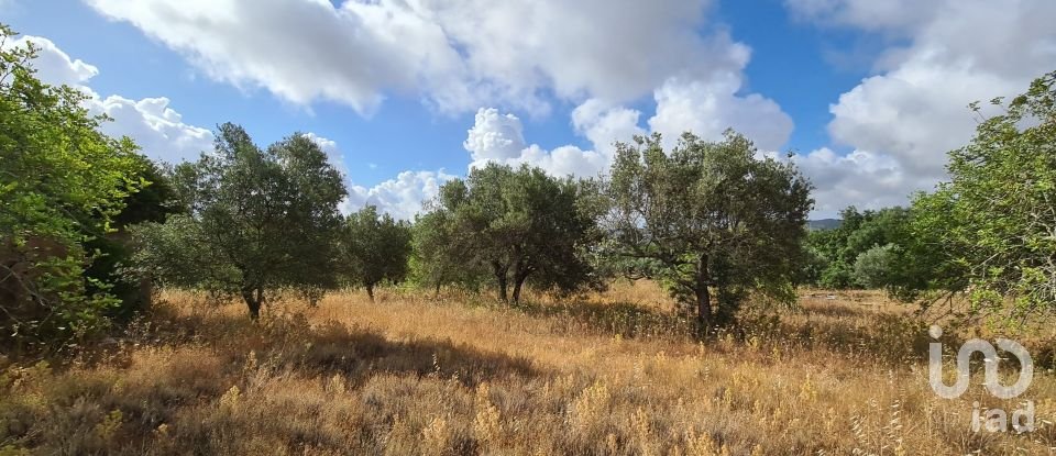 Terreno para construção em Loulé (São Clemente) de 2 360 m²