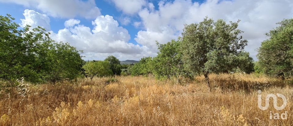 Terreno para construção em Loulé (São Clemente) de 2 360 m²