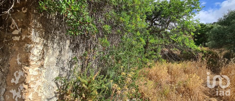 Terreno para construção em Loulé (São Clemente) de 2 360 m²