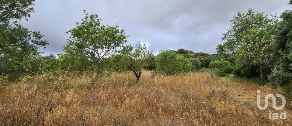 Terreno para construção em Loulé (São Clemente) de 2 360 m²