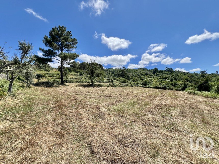 Terreno em São Paio de 24 000 m²