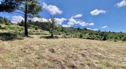 Terreno em São Paio de 24 000 m²