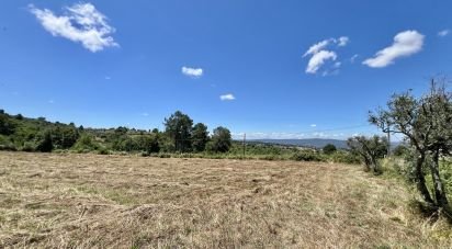 Terreno em São Paio de 24 000 m²