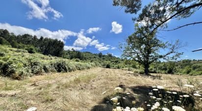 Terreno em São Paio de 24 000 m²