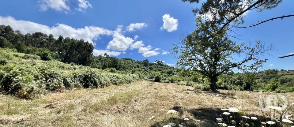 Terreno em São Paio de 24 000 m²