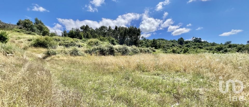 Terreno em São Paio de 24 000 m²