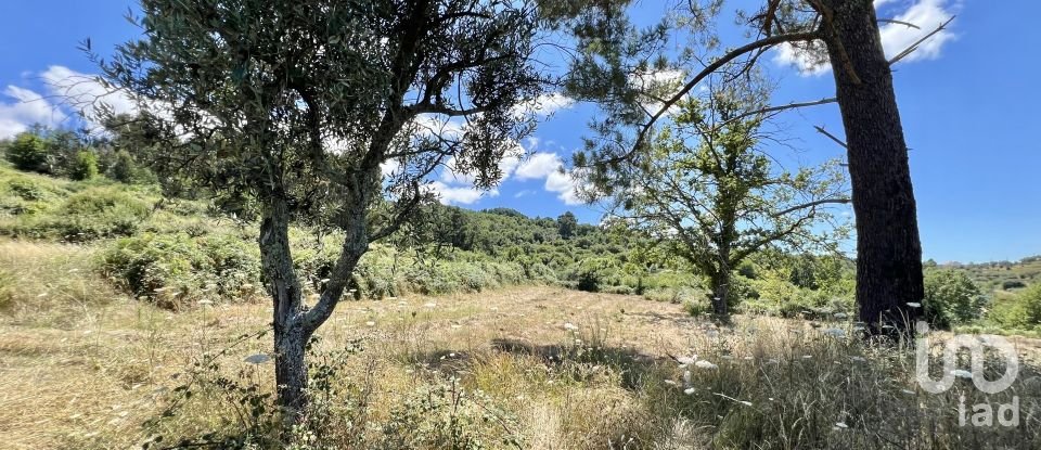 Terreno em São Paio de 24 000 m²