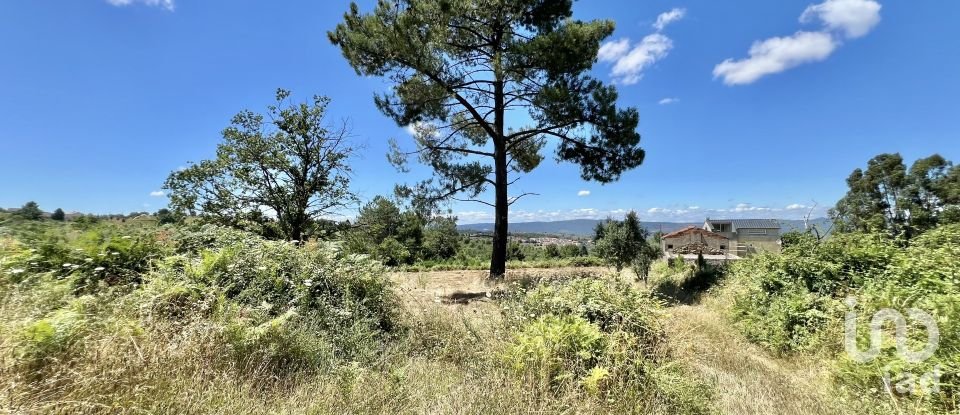 Terreno em São Paio de 24 000 m²