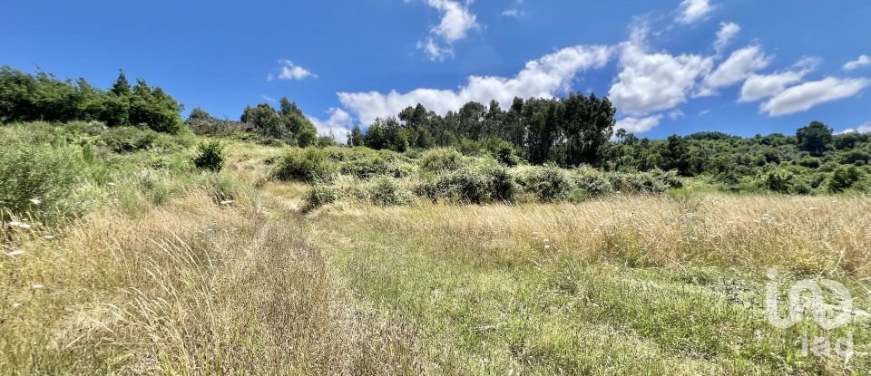 Terreno em São Paio de 24 000 m²