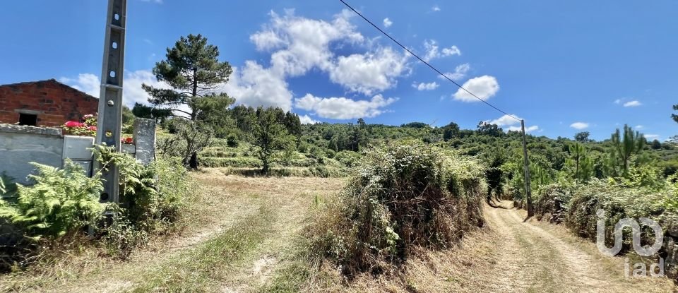 Terreno em São Paio de 24 000 m²