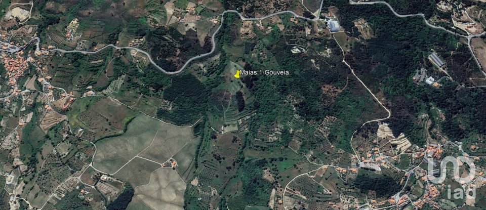 Land in São Paio of 24,000 m²