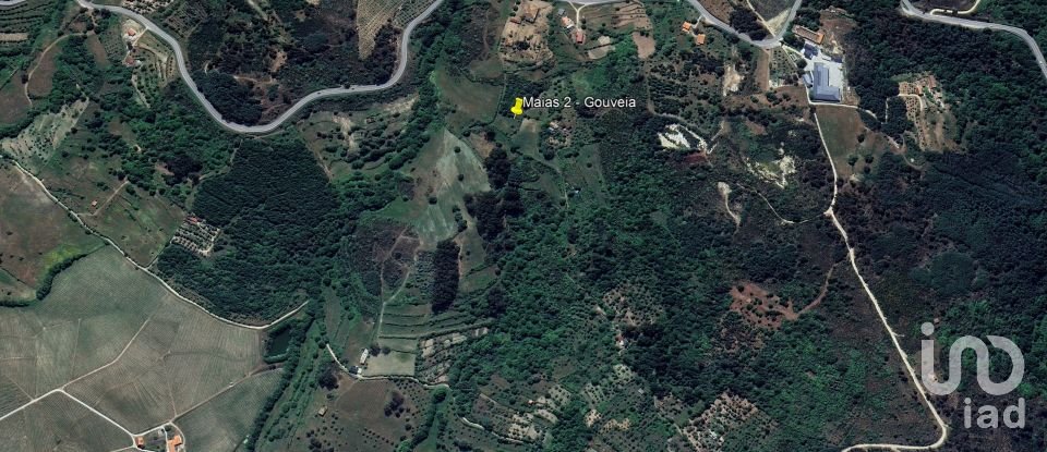 Terreno em São Paio de 24 000 m²