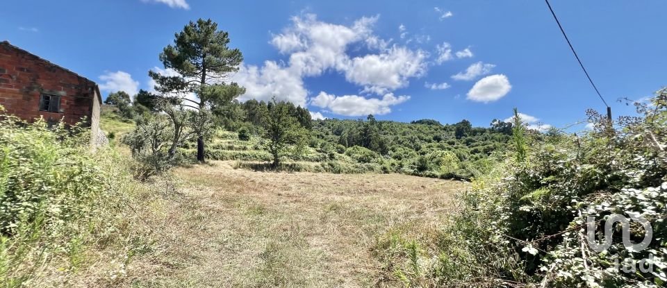 Terreno em São Paio de 24 000 m²