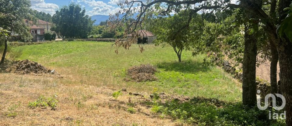 Land in Constantim e Vale de Nogueiras of 1,196 m²