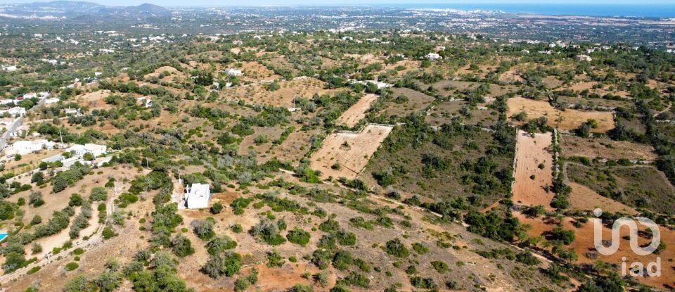 Terrain agricole à Paderne de 11 800 m²