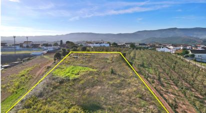 Land in Lamas e Cercal of 2,680 m²