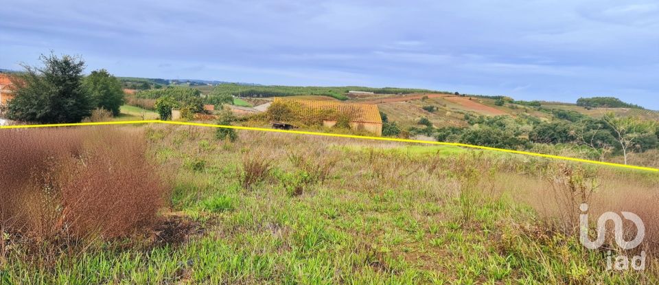 Terreno em Lamas e Cercal de 2 680 m²