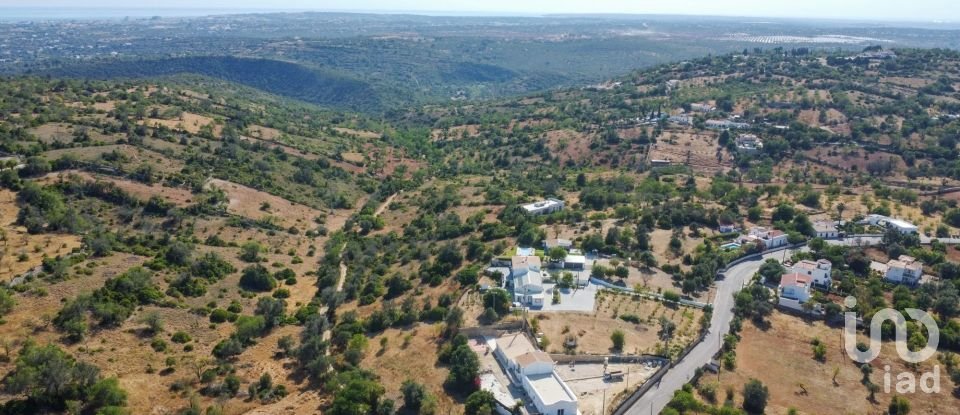 Terreno Agrícola em Paderne de 11 800 m²