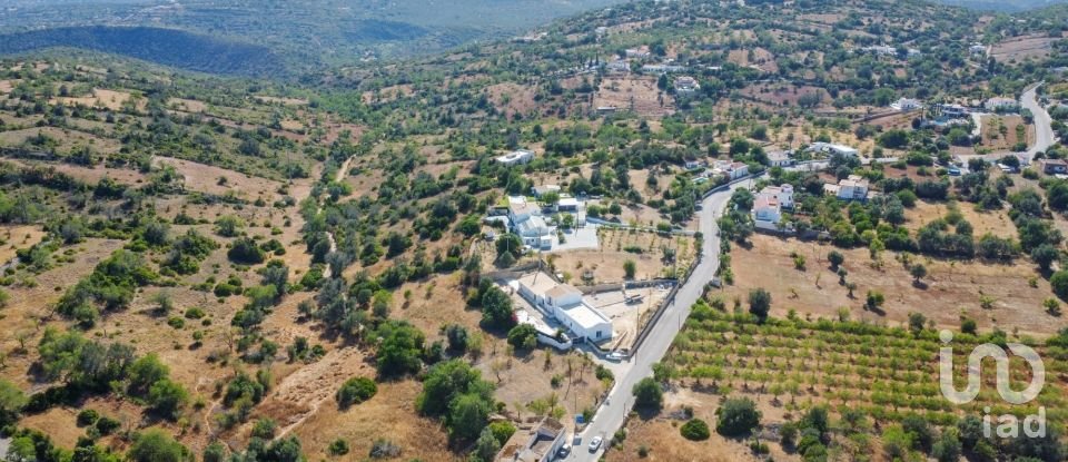 Terreno Agrícola em Paderne de 11 800 m²