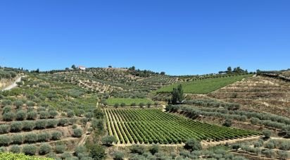 Terreno em Cedovim de 100 000 m²