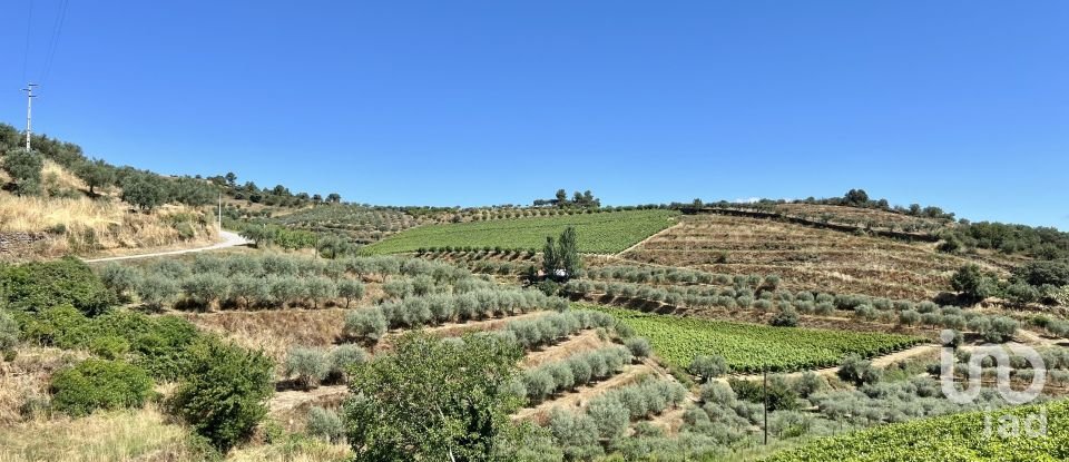 Terreno em Cedovim de 100 000 m²