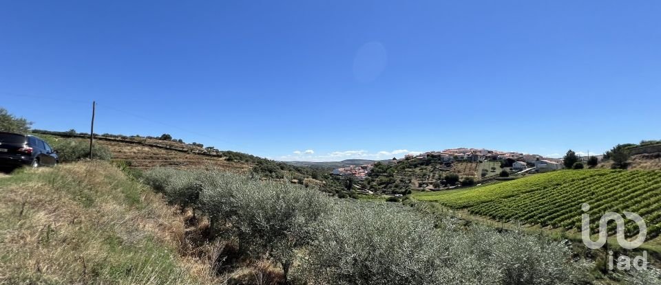 Land in Cedovim of 100,000 m²