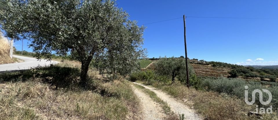 Terrain à Cedovim de 100 000 m²