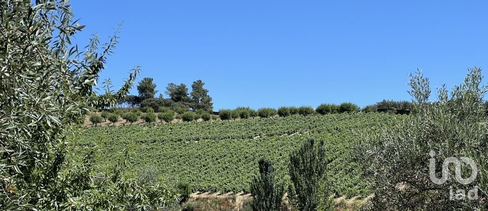 Terreno em Cedovim de 100 000 m²