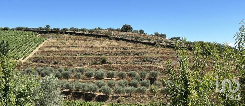 Terreno em Cedovim de 100 000 m²