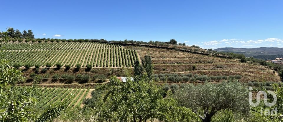 Terreno em Cedovim de 100 000 m²