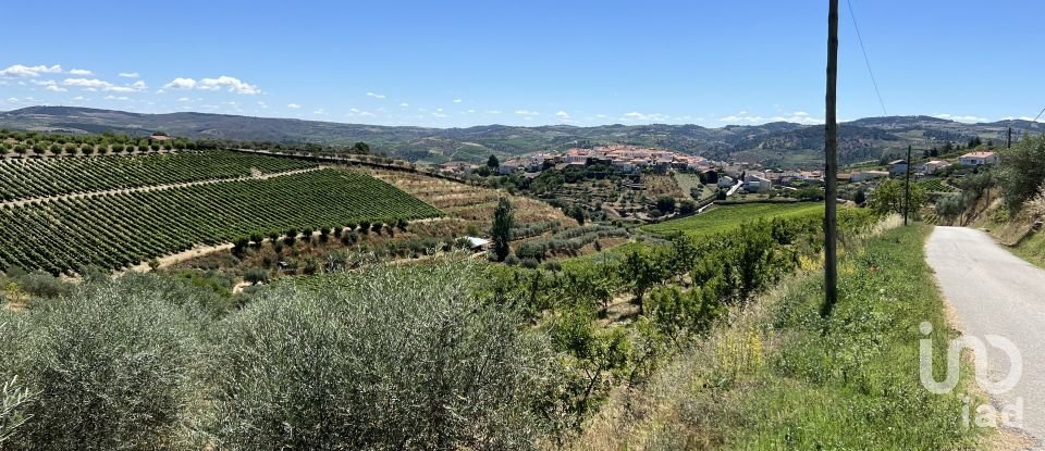 Terreno em Cedovim de 100 000 m²