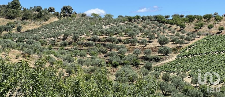 Terreno em Cedovim de 100 000 m²