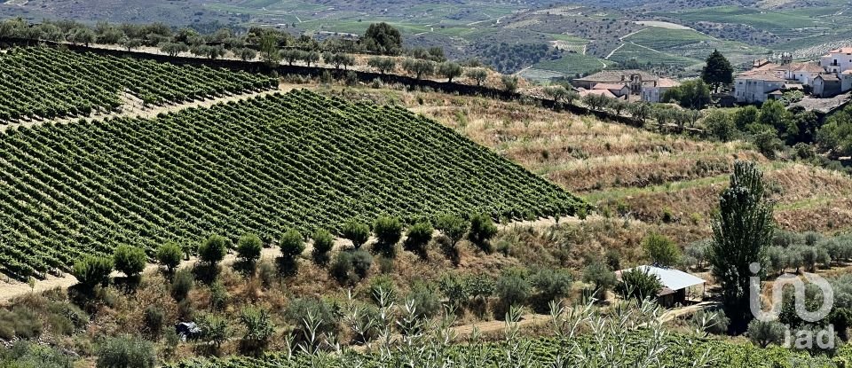 Terreno em Cedovim de 100 000 m²