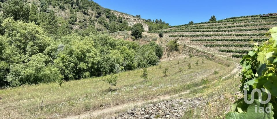 Land in Cedovim of 54,000 m²