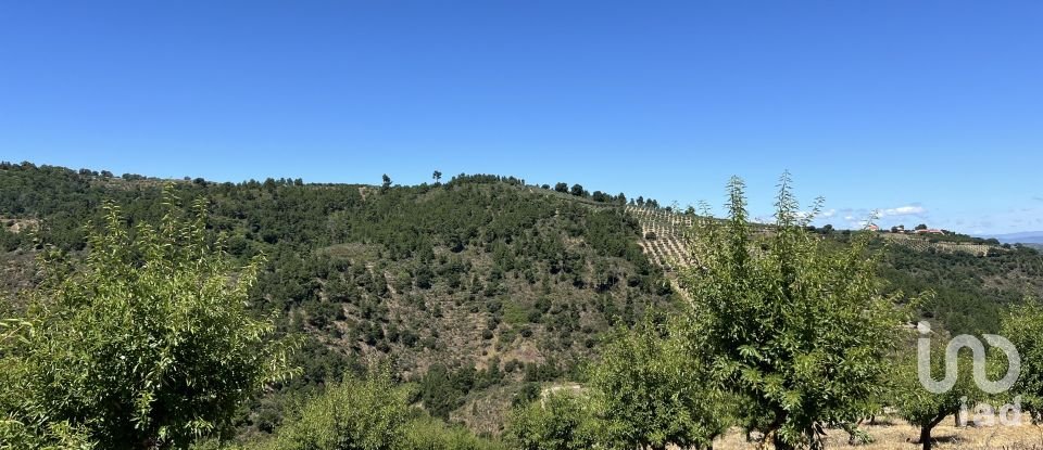 Land in Cedovim of 54,000 m²