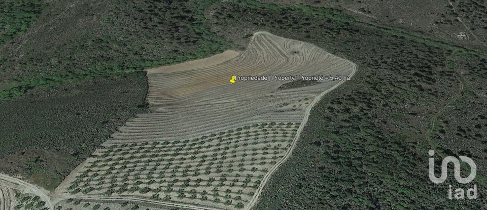 Land in Cedovim of 54,000 m²