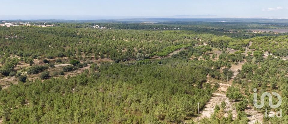 Land in Sesimbra (Castelo) of 7,500 m²