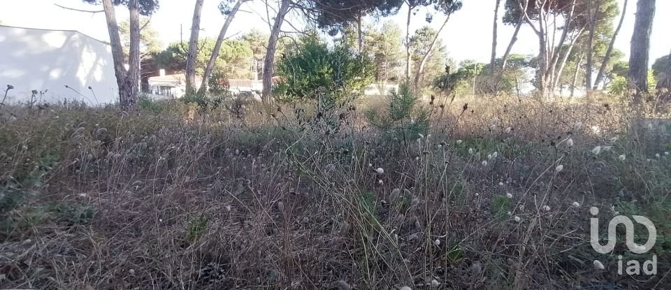 Building land in Sesimbra (Castelo) of 268 m²