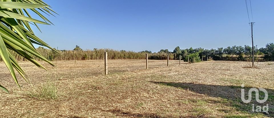 Farm T5 in Mexilhoeira Grande of 411 m²