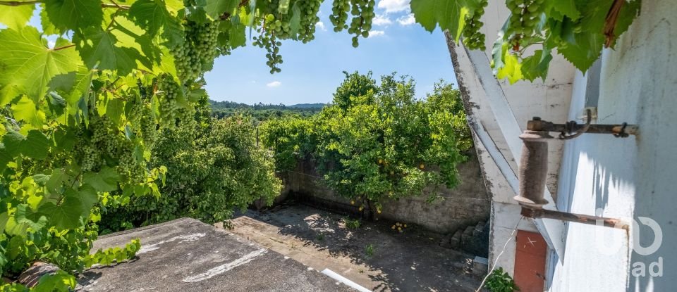 Casa T7 em Lousã e Vilarinho de 255 m²