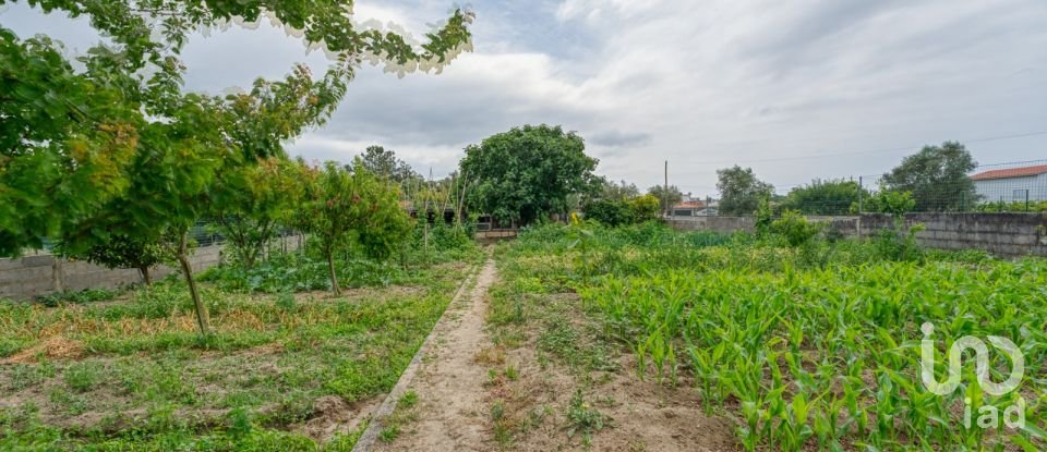 Maison traditionnelle T5 à Souto da Carpalhosa e Ortigosa de 170 m²